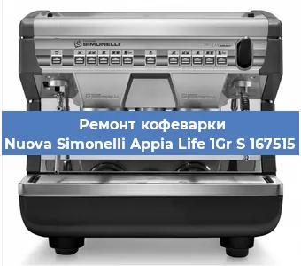 Чистка кофемашины Nuova Simonelli Appia Life 1Gr S 167515 от накипи в Воронеже